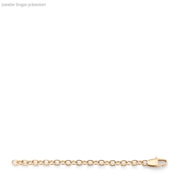 LEONARDO Schmuck Verlängerungskette 10cm gold 040951