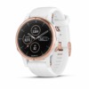 fenix 5s Plus saphir 010-01987-07