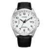 CITIZEN HERREN Armbanduhr Eco-Drive Funk CB0250-17A