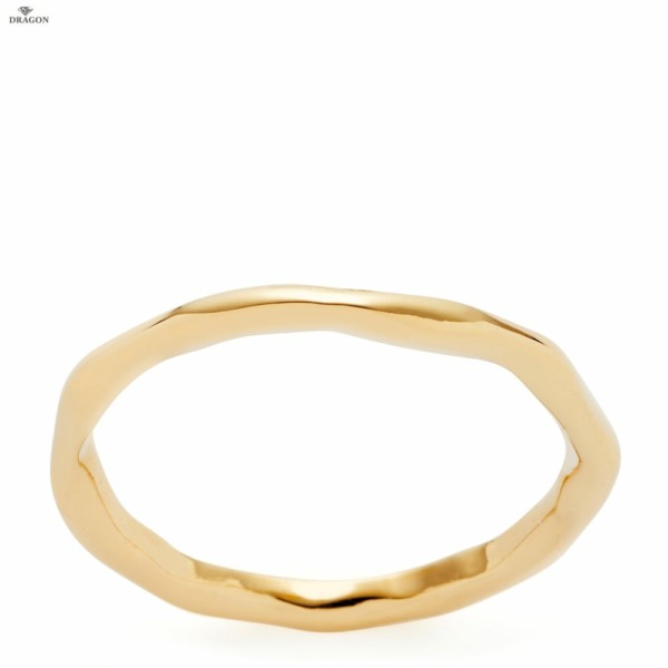 Ring 19 Pavina ciao!_021861_CIAO by LEONARDO_A2