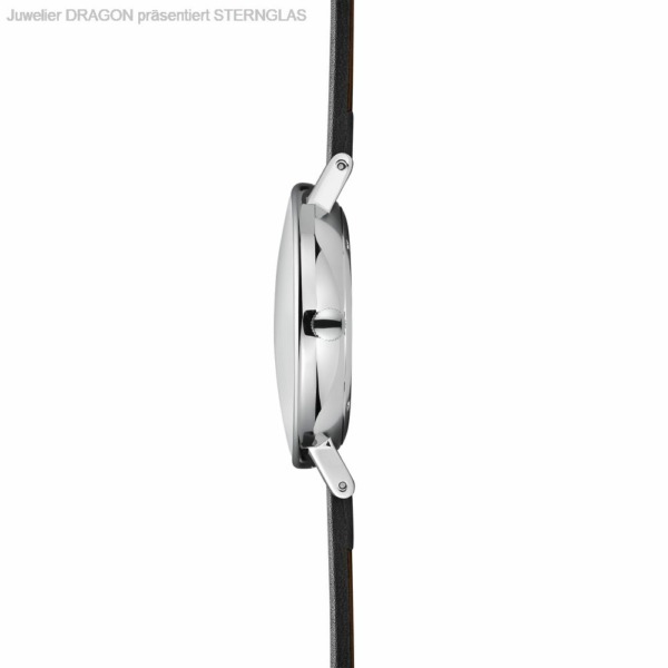 STERNGLAS IVO rauchgrün-schwarz silber / Premium schwarz S01-IV08-PR07_3
